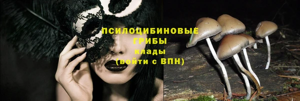 прущий лед Богородск