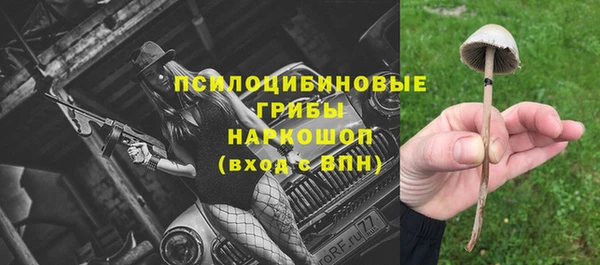прущий лед Богородск
