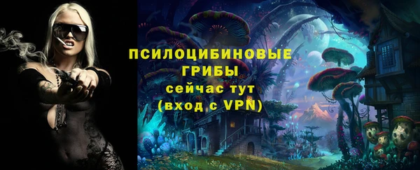 наркотики Богородицк