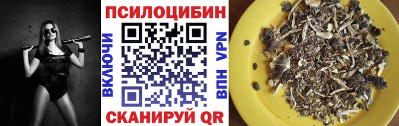 Псилоцибиновые грибы ЛСД  наркотики  Псков 